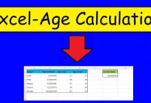 how-to-calculate-age-accurately-from-date-of-birth